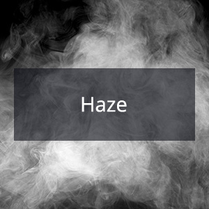 Cannabis Samen mit der Cannabis Sorte Haze in der Genetik
