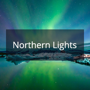 Cannabis Samen mit der Cannabis Sorte Northern Light in der Genetik
