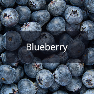 Cannabis Samen mit der Cannabis Sorte Blueberry in der Genetik