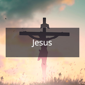Cannabis Samen mit der Cannabis Sorte Jesus in der Genetik