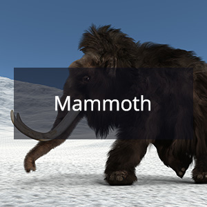 Cannabis Samen mit der Cannabis Sorte Mammoth in der Genetik