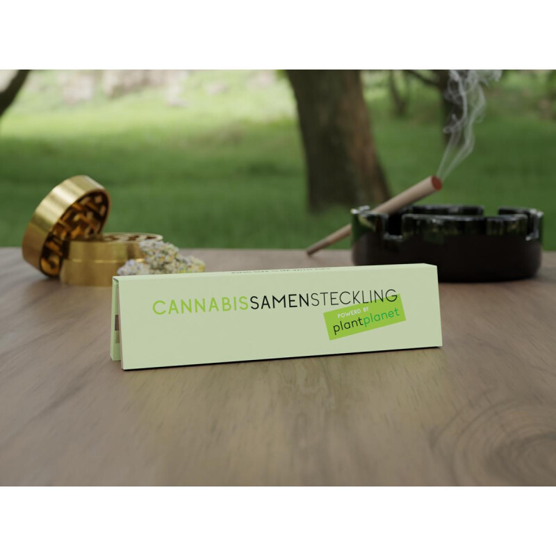 CSS King Size Slim mit Tips 32 Blatt &am box